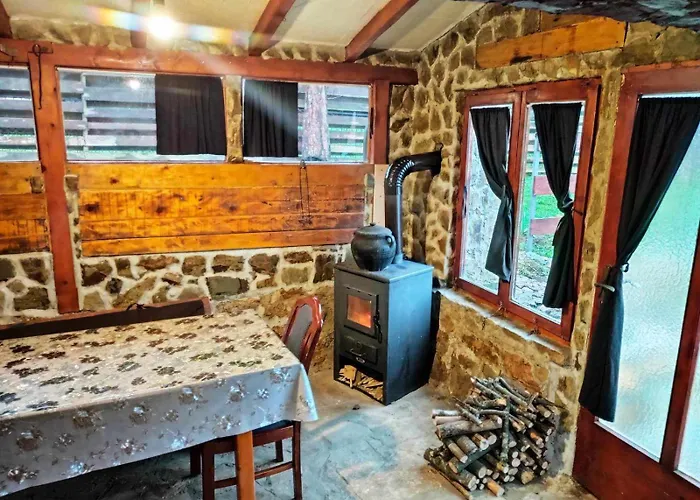 Smestaj Popovic Villa *